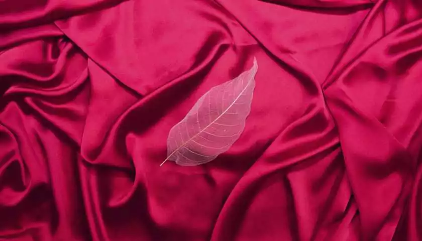 Textile Pro Производство одежды в Китае, Индии и Бангладеш