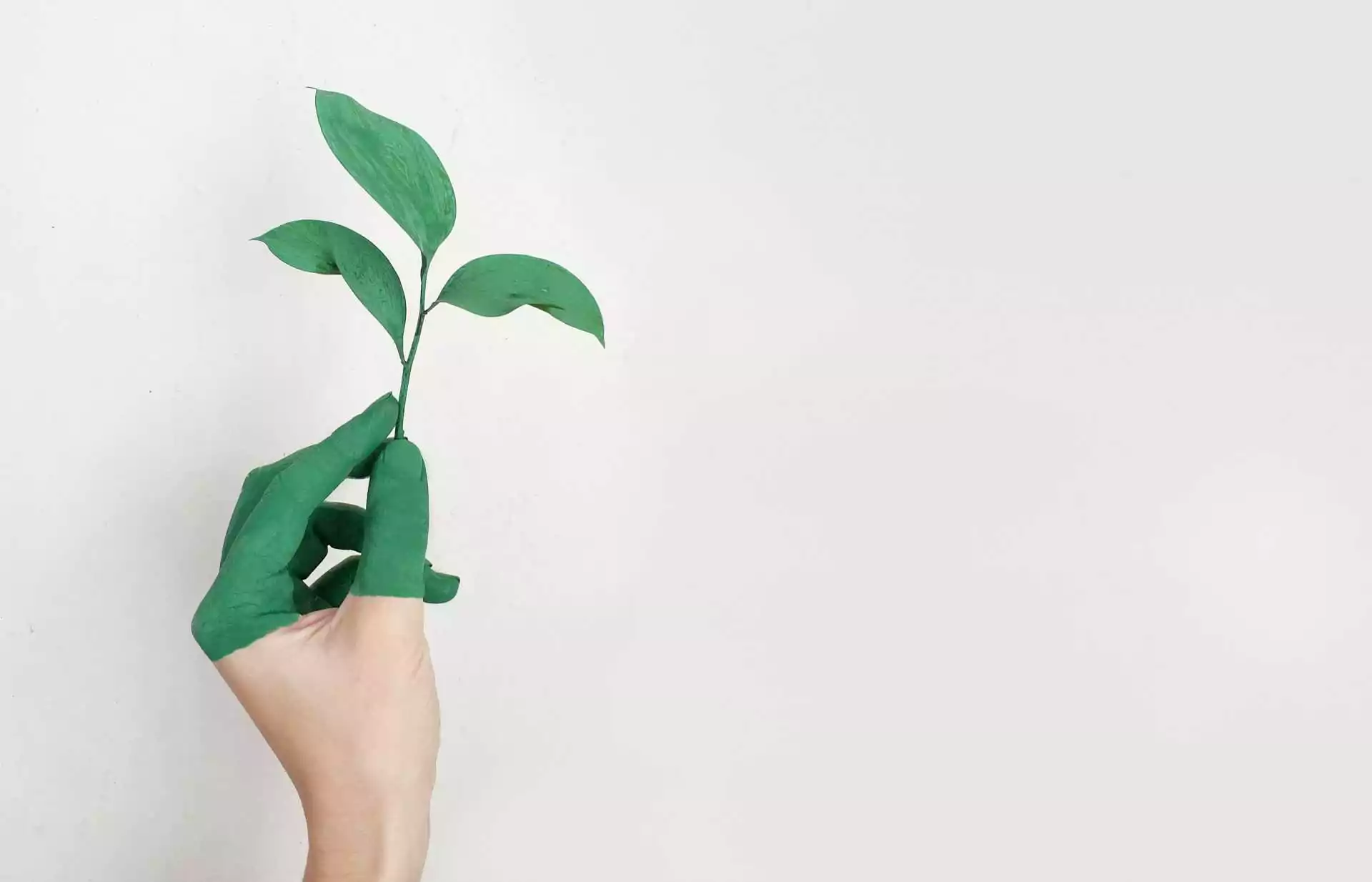 Textile Pro Производство одежды в Китае, Индии и Бангладеш
