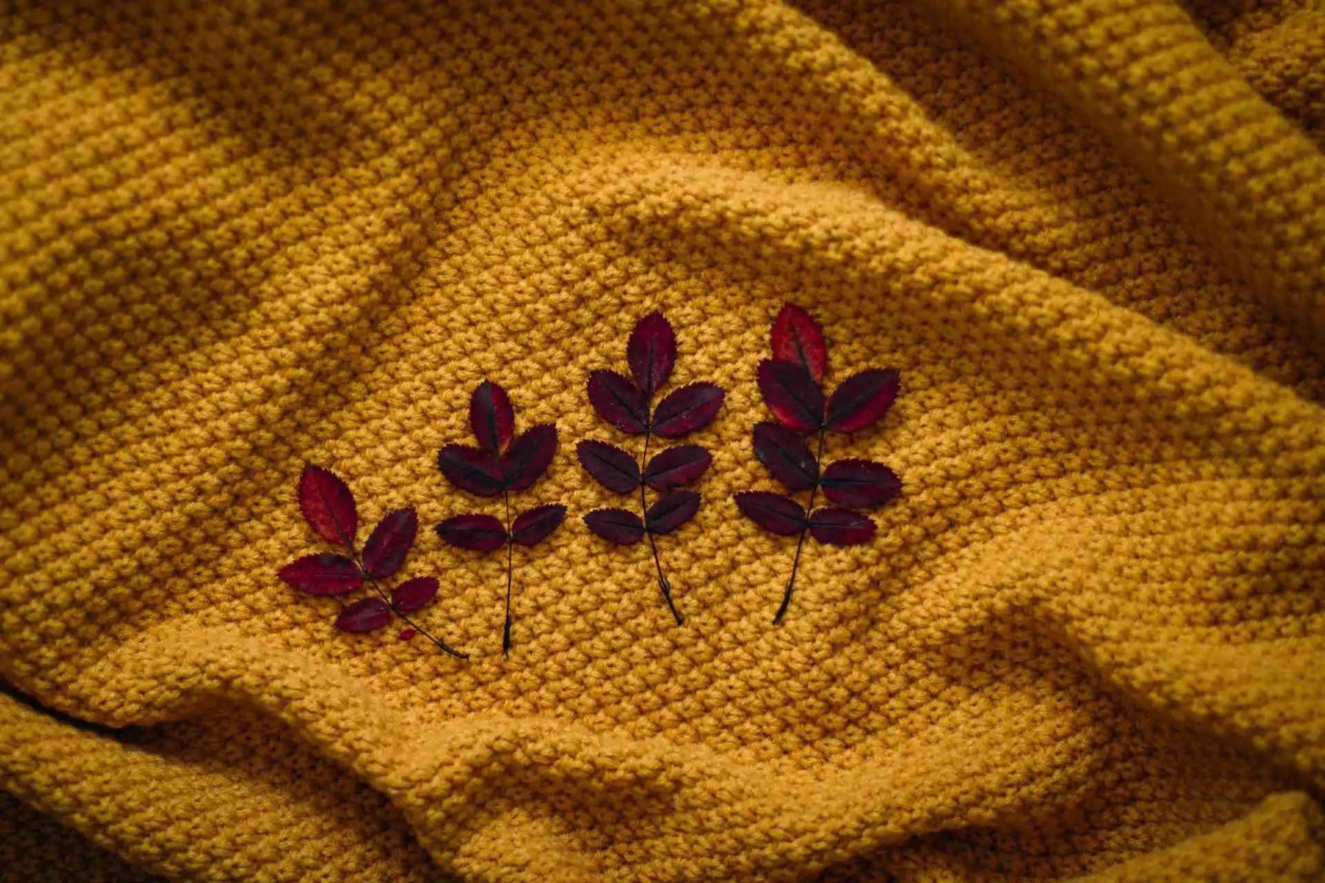 Textile Pro Производство одежды в Китае, Индии и Бангладеш