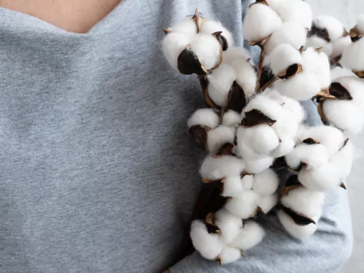 Closeup anonymous female demonstrating bunch of fragrant white cotton