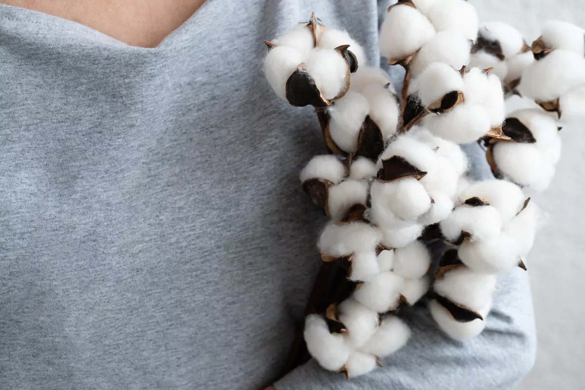 Crop faceless woman holding bunch of tender white cotton